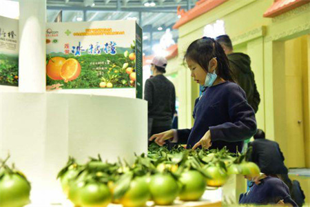 2021農博會展臺布置